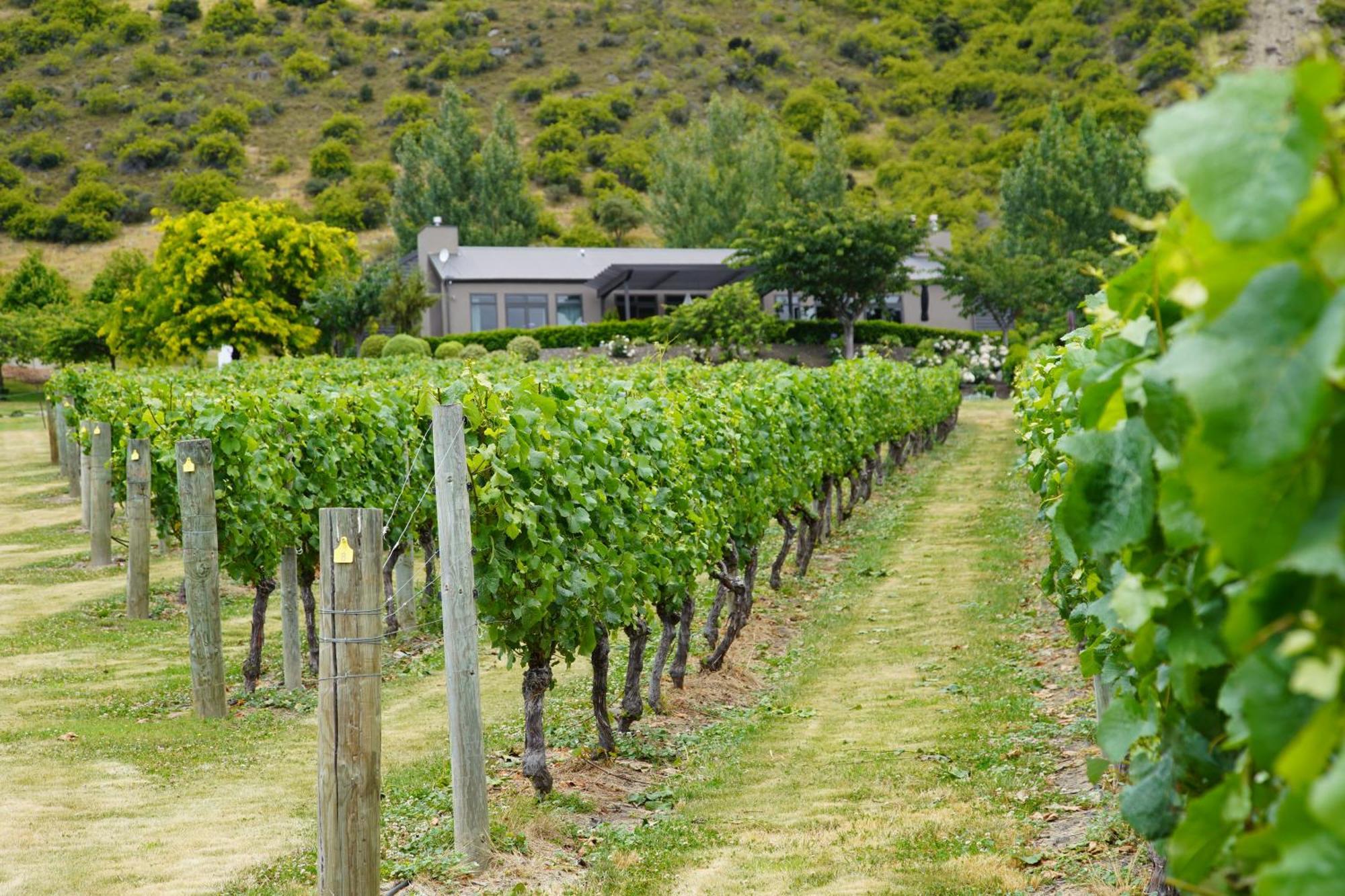 Mt Rosa Lodge Wanaka Exterior foto