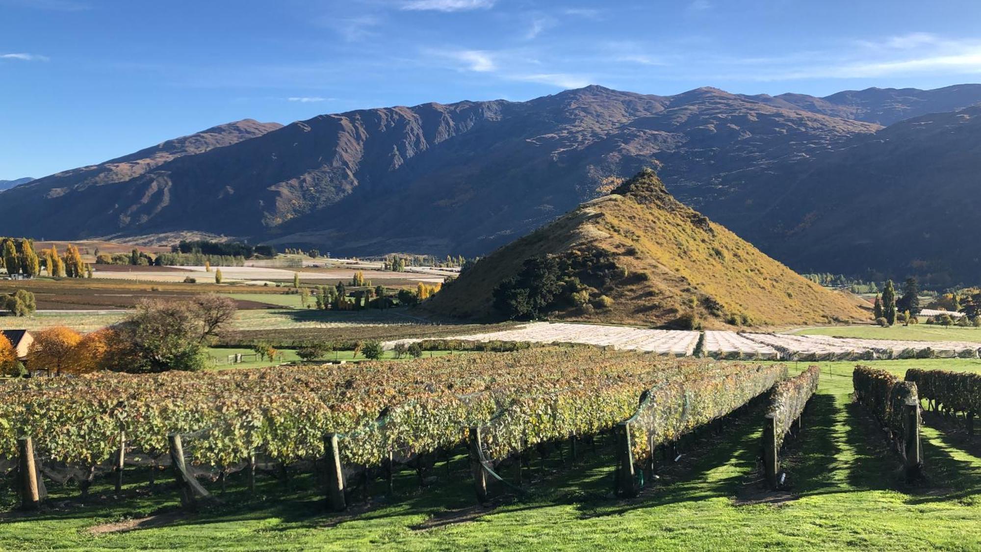 Mt Rosa Lodge Wanaka Exterior foto